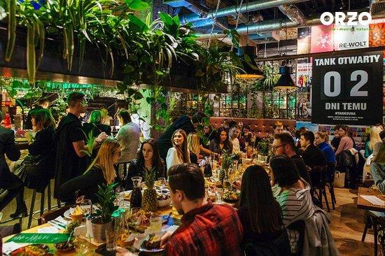 Orzo People Music Nature Krakow